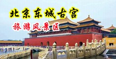 女生被男生操免费网站中国北京-东城古宫旅游风景区